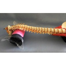The Neck Support